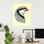 Poster Chukar : tête de perdrix (Bureau à domicile)