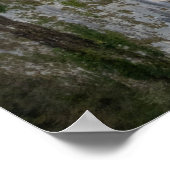 Poster Church of Madonna della Corona (Coin)