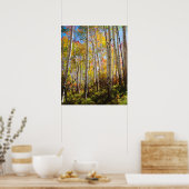 Poster Chute d'Aspen trees 5 (Cuisine)