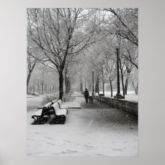 Poster Chute de neige à Montréal, Québec