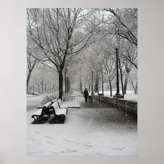 Poster Chute de neige à Montréal, Québec (Devant)