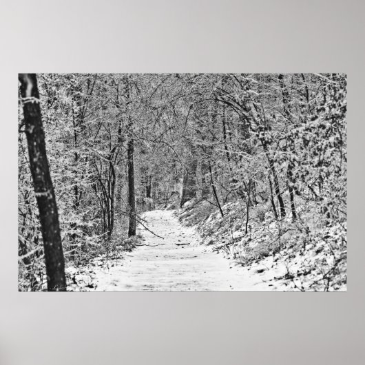 Poster Chute de neige sur Forest Trail B&W (Devant)