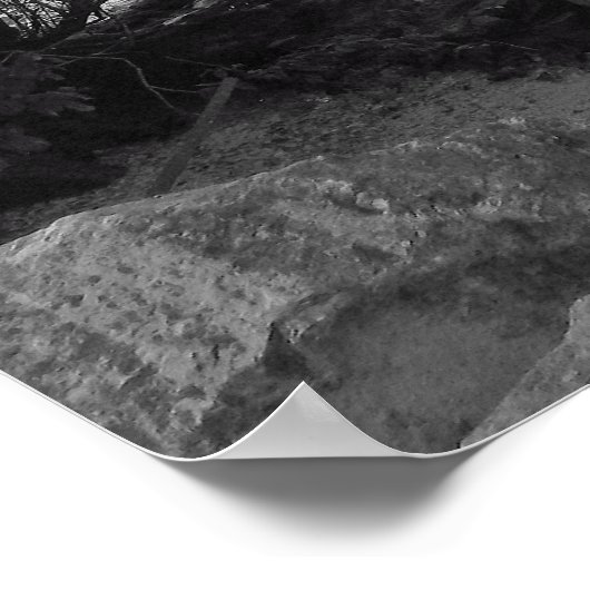 Poster Chute de Tree over Water (Coin)