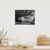 Poster Chute de Tree over Water (Cuisine)
