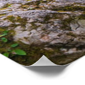 Poster Chute d'eau de Gollinger Wasserfall, Autriche (Coin)