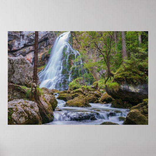 Poster Chute d'eau de Gollinger Wasserfall, Autriche (Devant)
