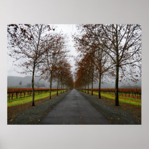 Poster Chute en Sainte-Hélène