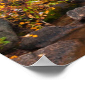 Poster Chute le long de Bishop Creek, Californie (Coin)