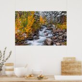 Poster Chute le long de Bishop Creek, Californie (Cuisine)