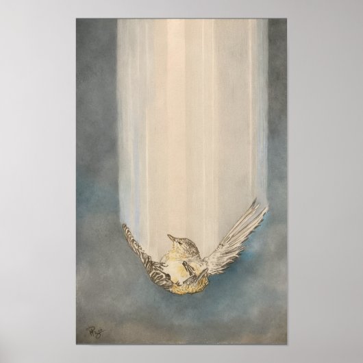 Poster Chute libre (Devant)