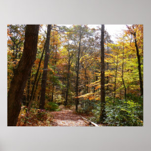 Poster Chute Sunlit dans le parc national de Laurel Hill