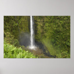 Poster Chutes Akaka, côte Hamakua, île d'Hawaï,