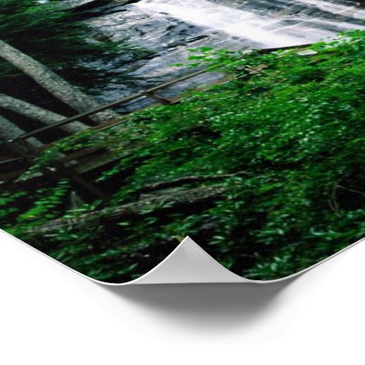 Poster Chutes Anna Ruby (Coin)