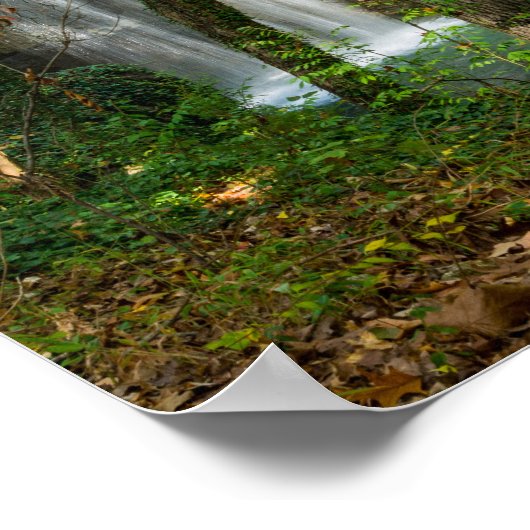 Poster Chutes cachées (Coin)