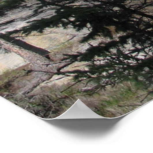 Poster Chutes d'Athabasca (Coin)