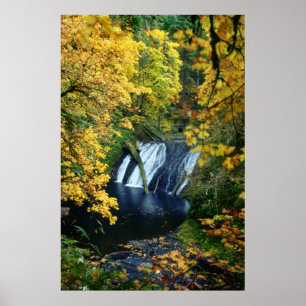 Poster Chutes d'automne