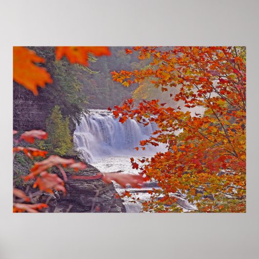Poster Chutes d'automne (Devant)