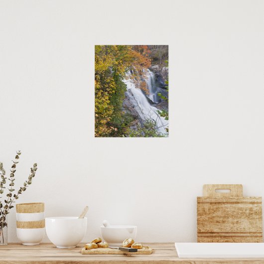 Poster Chutes de Bald River (Cuisine)