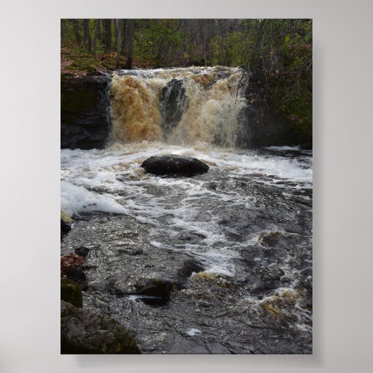 Poster Chutes de bière racine (Devant)