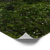 Poster Chutes de Bridalveil au parc national Yosemite (Coin)