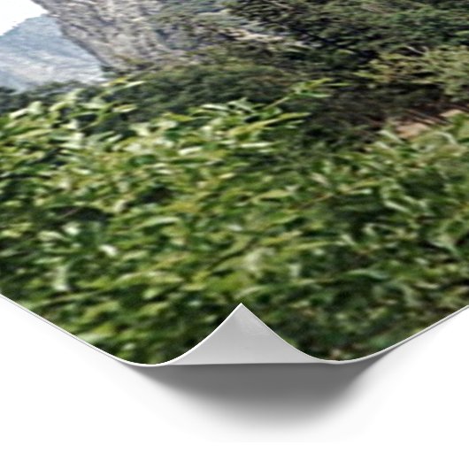 Poster Chutes de Bridalvoile (Coin)