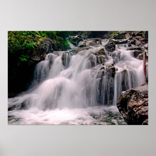 Poster Chutes de déception inférieures (Devant)