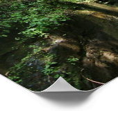 Poster Chutes de fils d'argent (Coin)