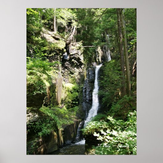 Poster Chutes de fils d'argent (Devant)