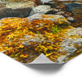 Poster Chutes de Godafoss, Islande (Coin)