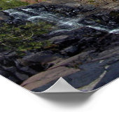 Poster Chutes de Gooseberry (Coin)