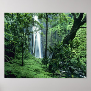 Poster Chutes de Hanakapiai le long de la côte Na Pali, K