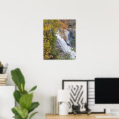 Poster Chutes de la rivière Bald (Bureau à domicile)
