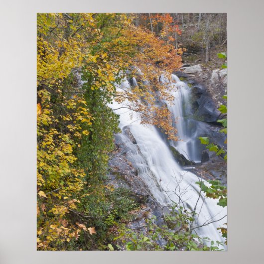 Poster Chutes de la rivière Bald (Devant)