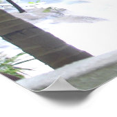 Poster Chutes de la rivière Dunn (Coin)