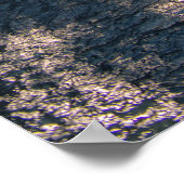Poster Chutes de Linville (Coin)