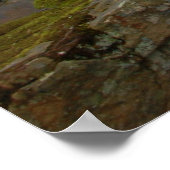 Poster Chutes de Meadow Creek (Coin)