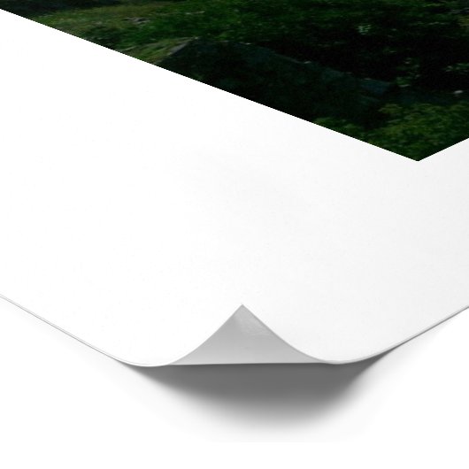 Poster Chutes de Niagra (Coin)