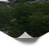 Poster Chutes de Niagra (Coin)