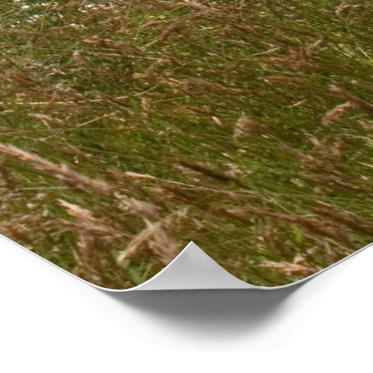 Poster Chutes de Snoqualmie (Coin)