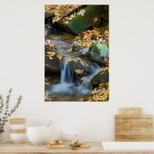 Poster Chutes de Teskawata (Cuisine)