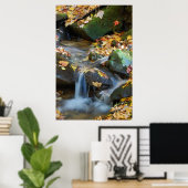 Poster Chutes de Teskawata (Bureau à domicile)