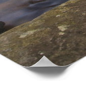 Poster Chutes de verre dans le Pisgah National (Coin)