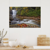 Poster Chutes de verre dans le Pisgah National (Cuisine)