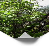 Poster Chutes de Virginie au parc national Glacier (Coin)