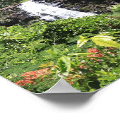 Poster Chutes de Waimea (Coin)