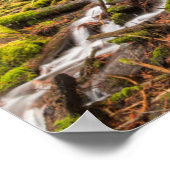 Poster Chutes de White Branch, Cascades de l'Oregon, Oreg (Coin)
