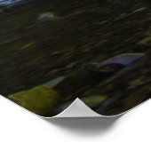 Poster Chutes d'Oneonta (Coin)