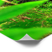 Poster Chutes du Little Miami, Clifton Gorge, Ohio (Coin)