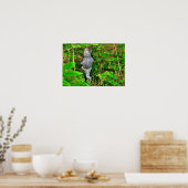 Poster Chutes du Little Miami, Clifton Gorge, Ohio (Cuisine)