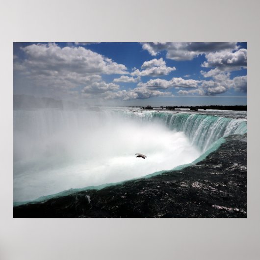 Poster Chutes du Niagara avec Mouette (Devant)